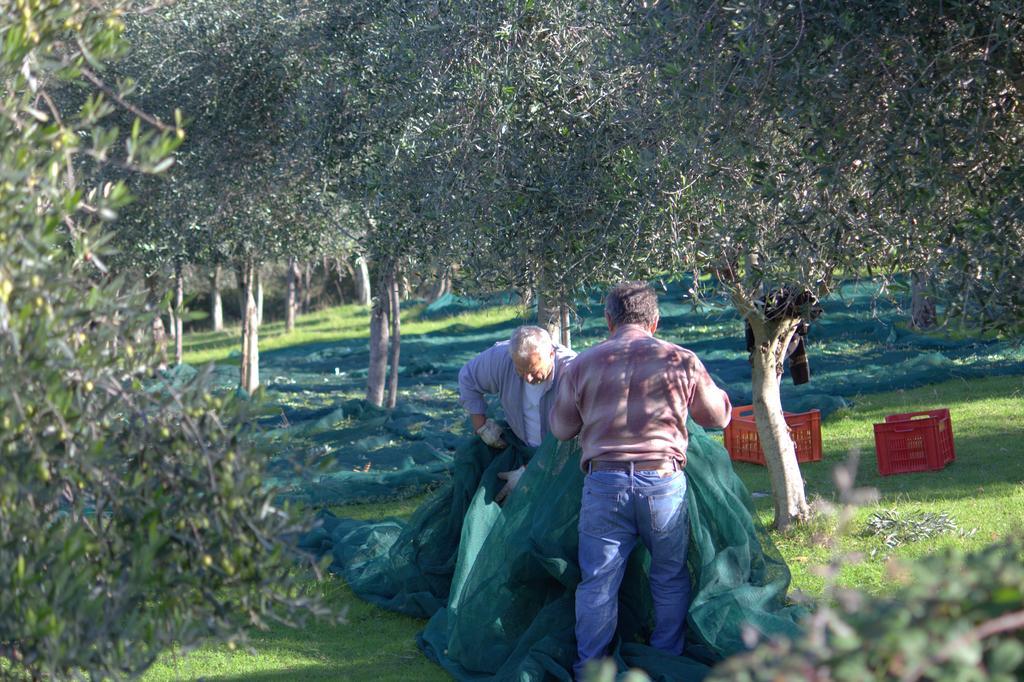 B&B Colle Perrini Country House Casperia Екстериор снимка