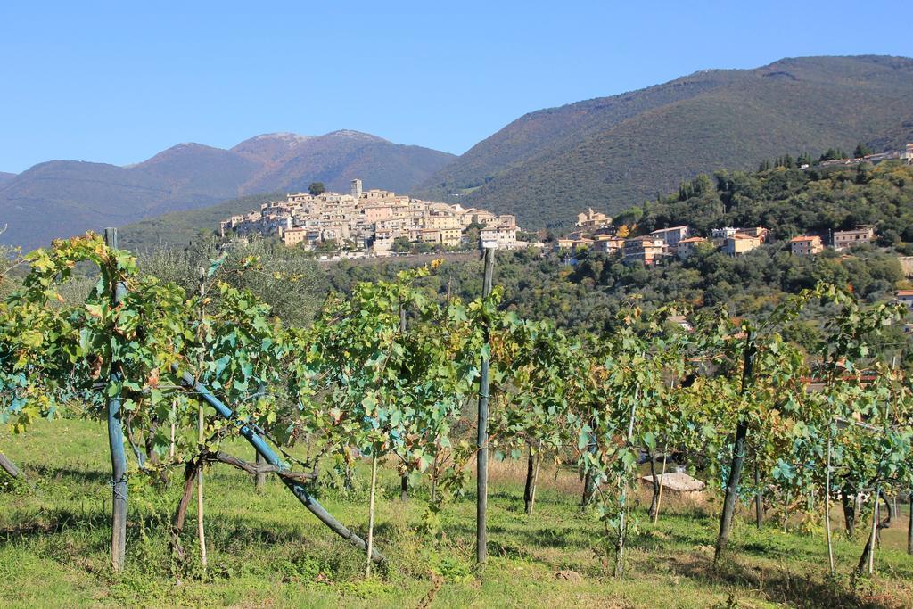 B&B Colle Perrini Country House Casperia Екстериор снимка